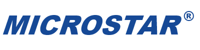 Microstar Electric Co. Ltd.